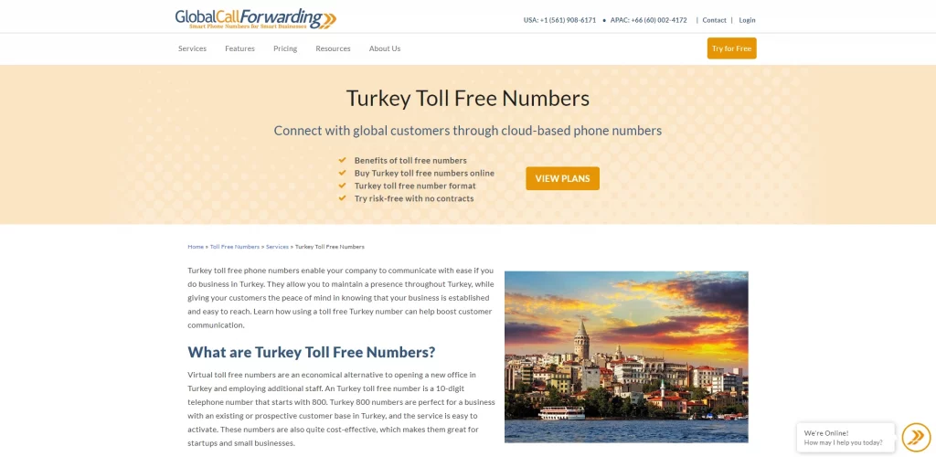 Global Call Forwarding Turkey Toll Free Number