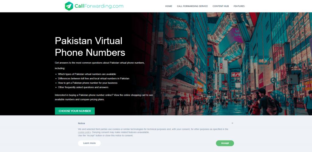 callforwarding pakistan virtual number