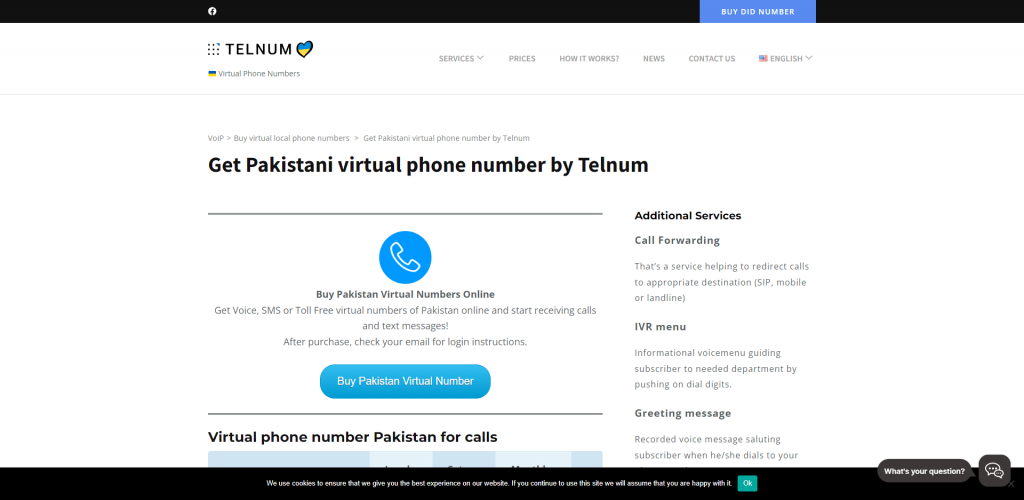 telnum pakistan virtual number