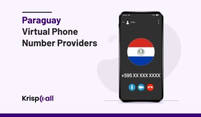 Paraguay virtual phone number providers 1