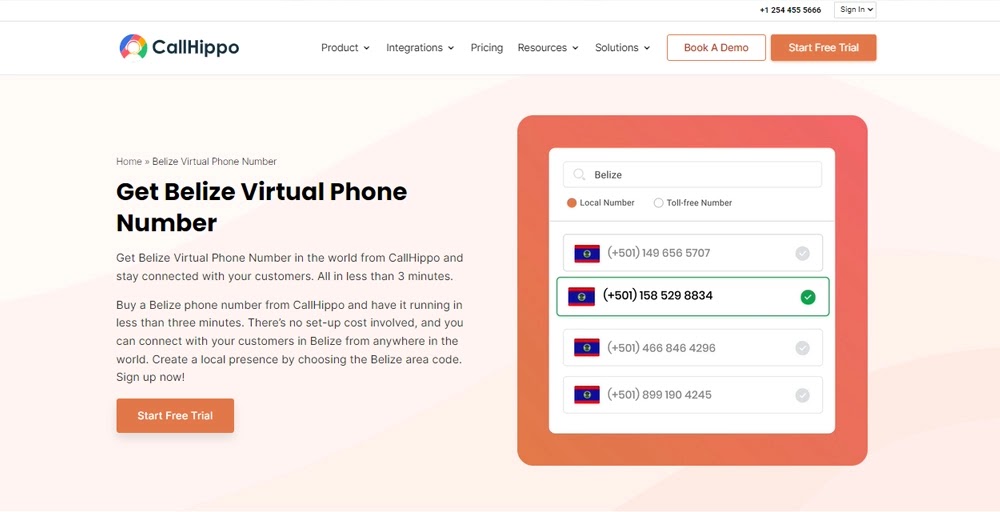 CallHippo Belize Virtual Number