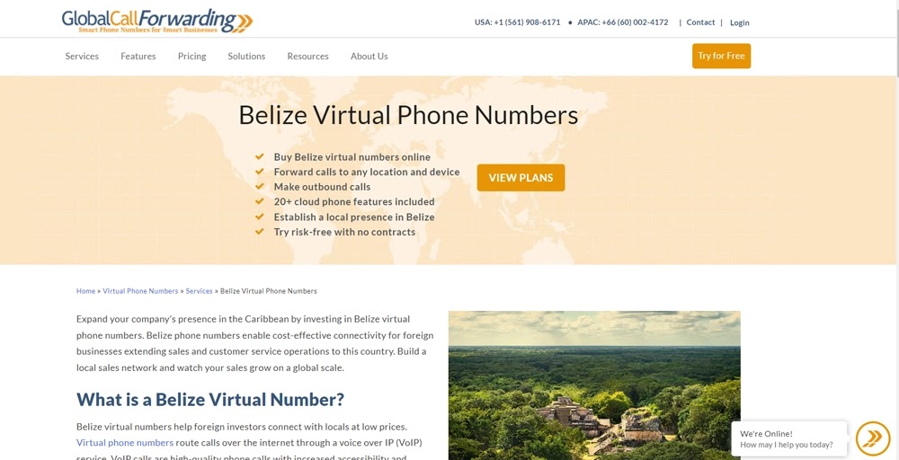 GlobalCallForwarding Belize Virtual Number