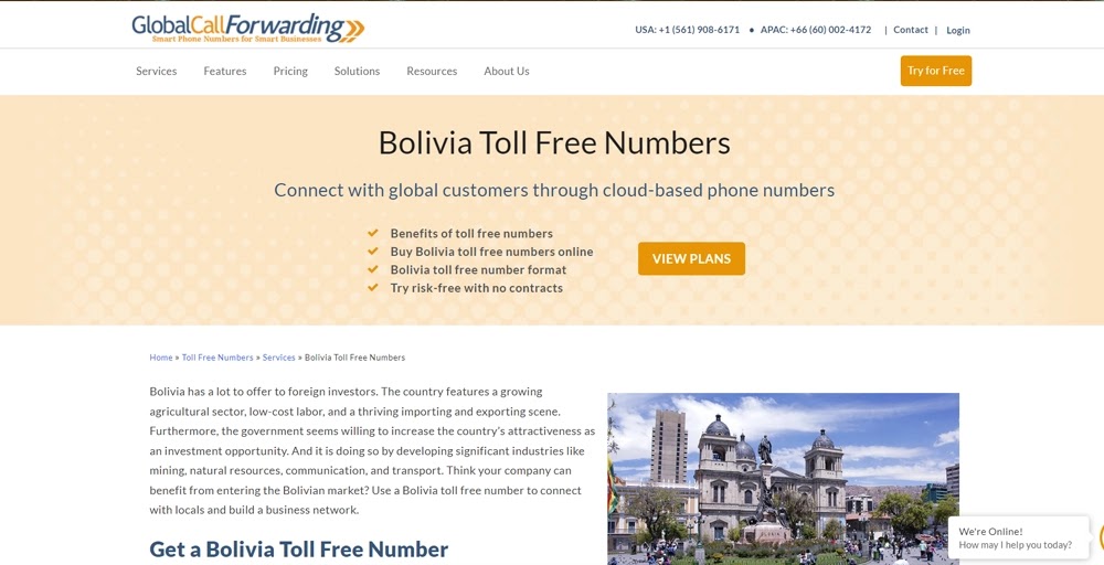 GlobalCallForwarding Bolivia Virtual Number 1