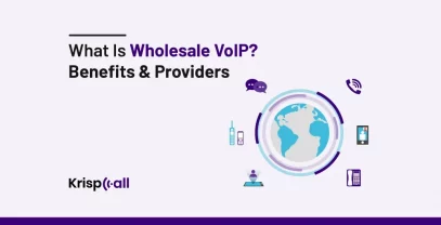 What Is Wholesale VoIP? Benefits & Providers