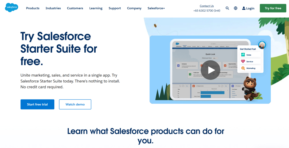 Salesforce as CRM software for customer service