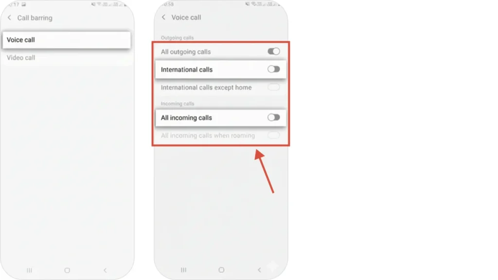 click voice calls and toggle on outgoing internationals and incoming calls