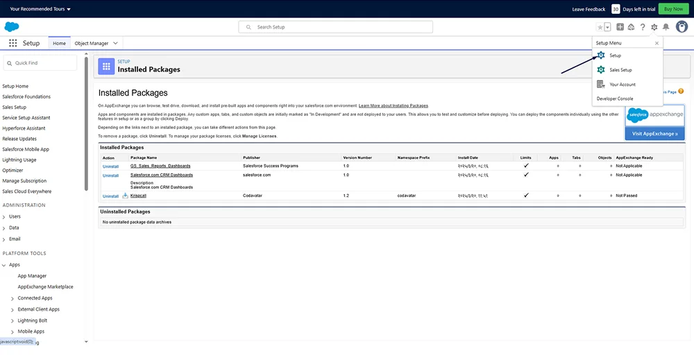 “Setup” option for salesforce