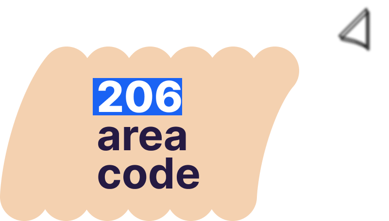 206 area code number