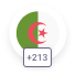 Algeria 213 flag