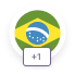 Brazil 1 flag 1