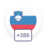 Slovenia 386 flag