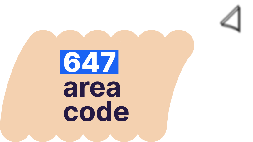 647 area code number