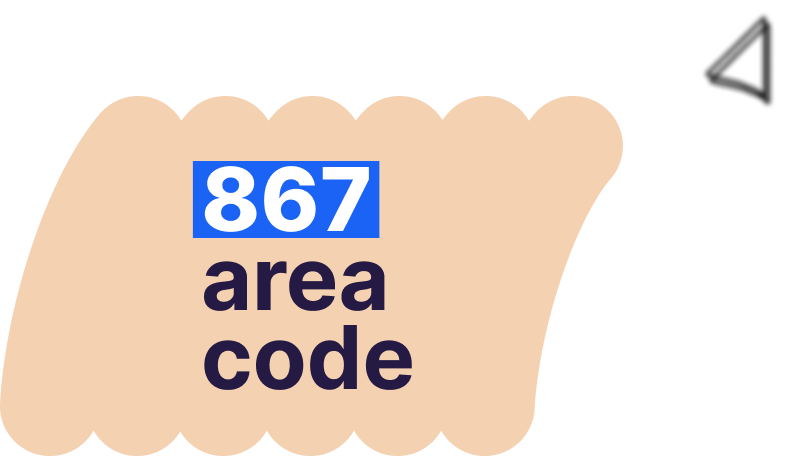 867 area code number