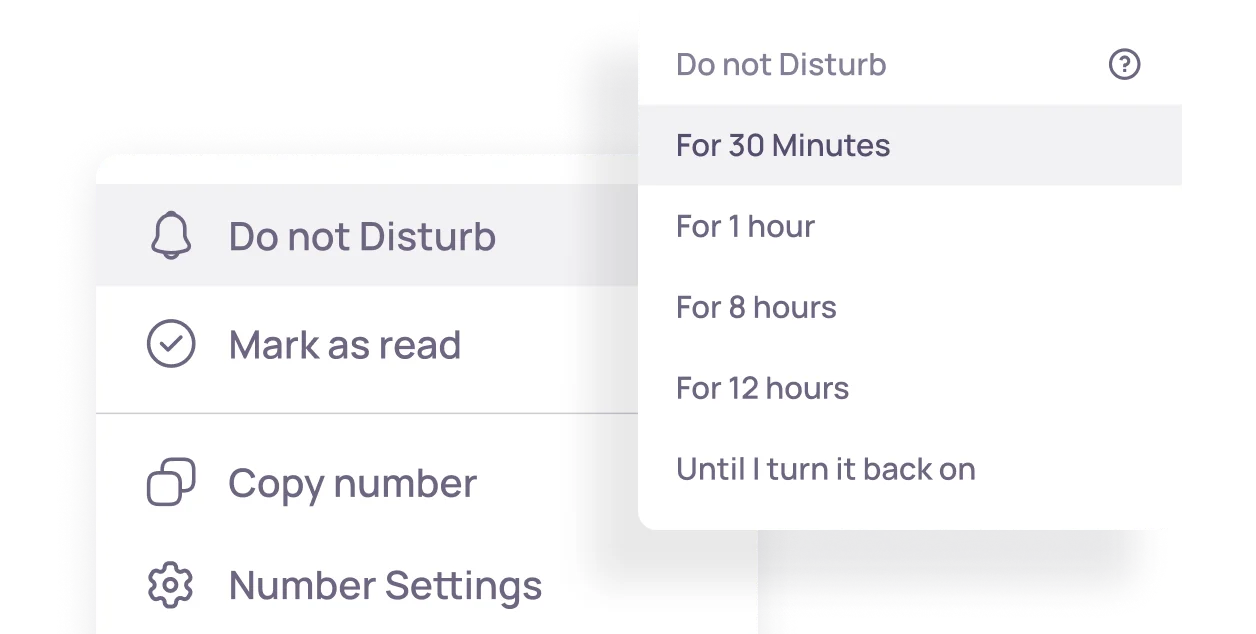 feature Do Not Disturb Mode