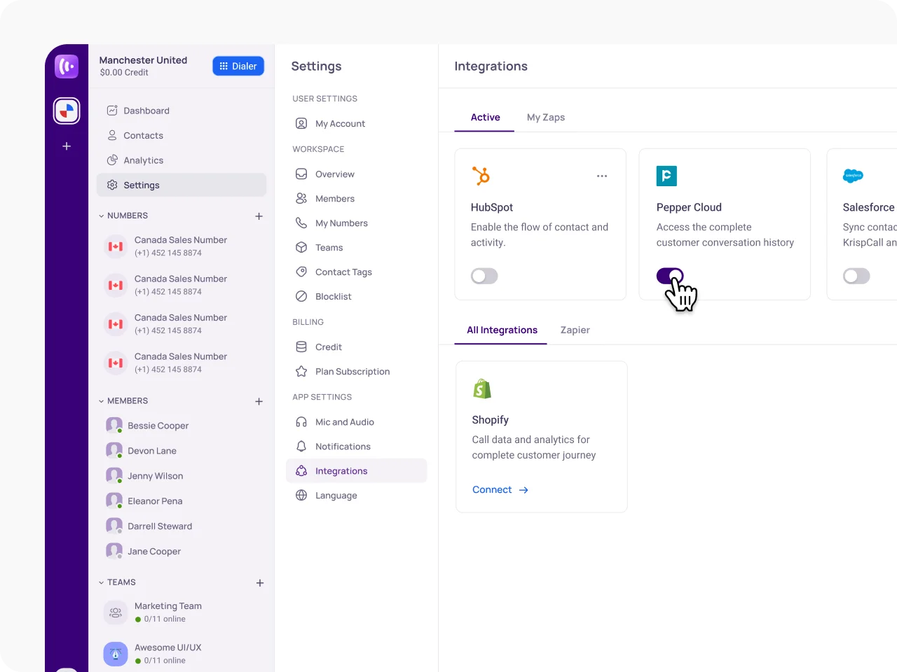 Manage the Active Integration